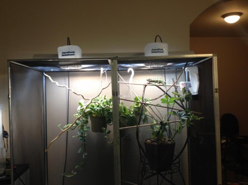 2013-11-07 11.27.04.jpg