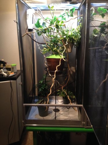 2013-11-08 16.46.50.jpg