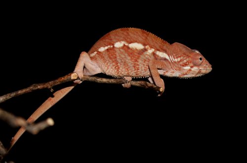 female5_110913_1.jpg