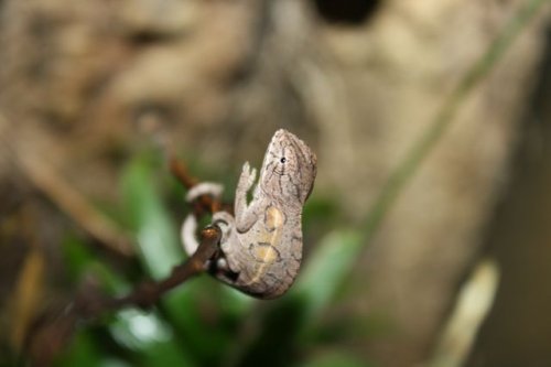 IMG_5385.jpg