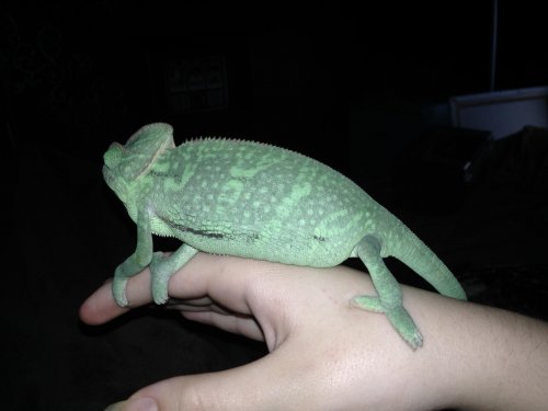photo (8).jpg