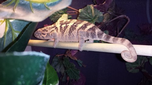 20131112_083438.jpg
