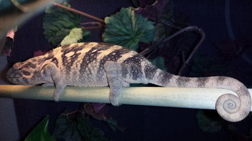 20131112_083452.jpg