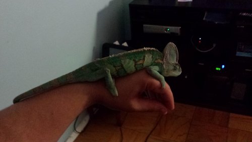 20131112_190544.jpg
