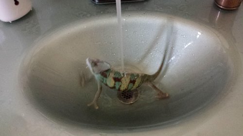 20131108_102025.jpg