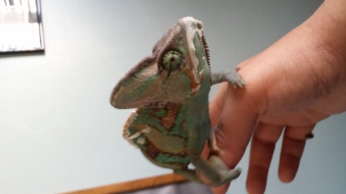 20131108_101541.jpg