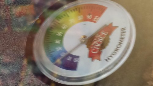 20131112_182718.jpg