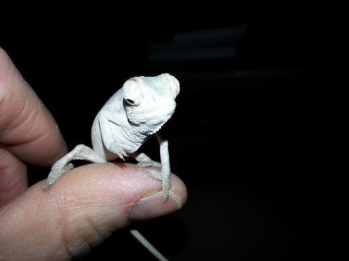 20131115_164058.jpg