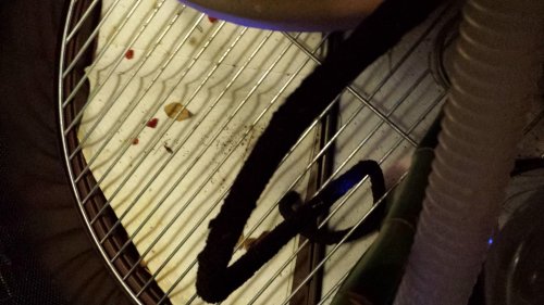 20131115_191249.jpg