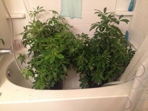 2013-11-16 15.28.23.jpg