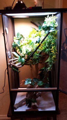 2013-11-16 20.19.09.jpg