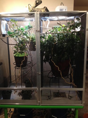 2013-11-17 10.00.51.jpg