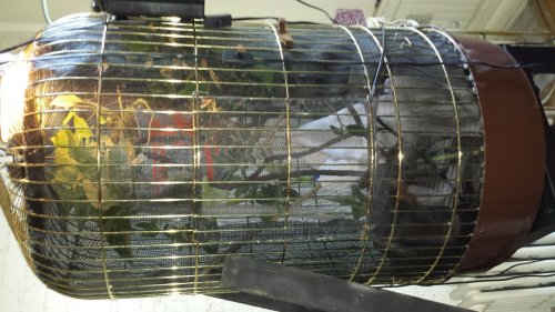 20131120_145657.jpg