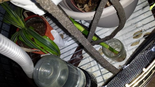 20131120_145601 (1).jpg