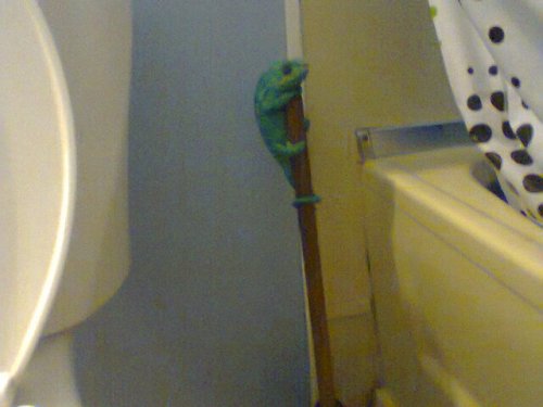 Photo0366.jpg
