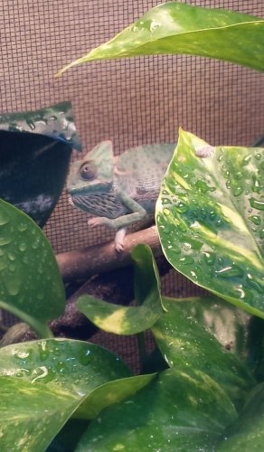 2013-11-23 17.05.02.jpg