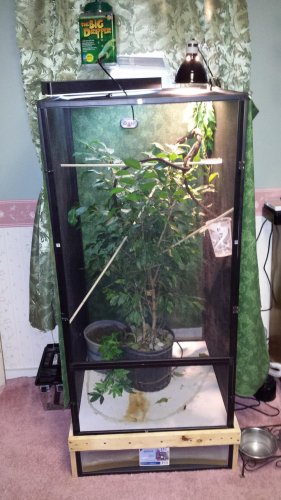 20131122_132143.jpg