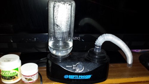 20131122_132540.jpg