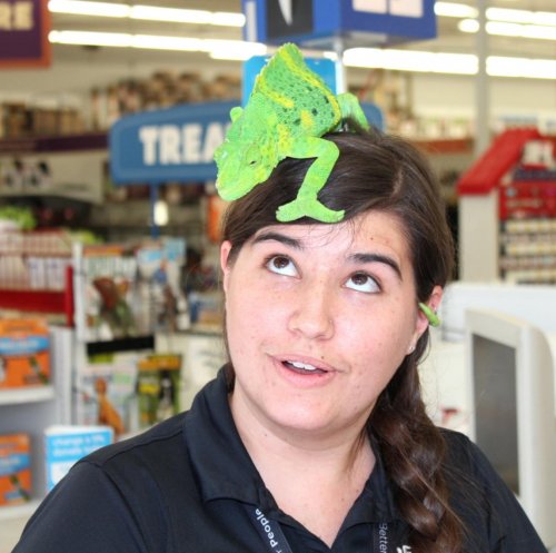 Melissa colonizing a Petco employee.jpg
