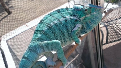 nosy be ice 1.JPG