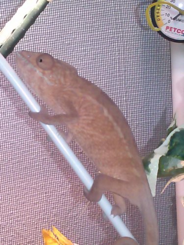 CAM00488.jpg