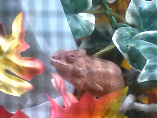 CAM00475.jpg