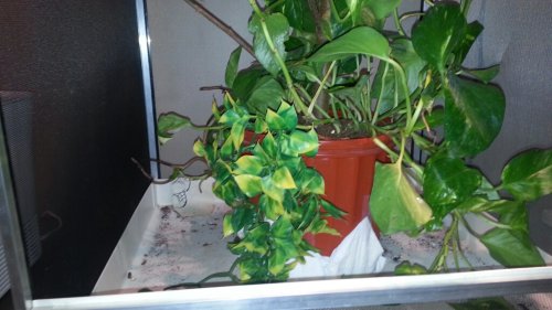20131202_200555_resized.jpg