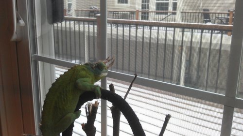 IMAG0220.jpg