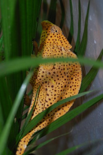 DSC_0072.jpg