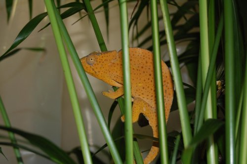 DSC_0015.jpg