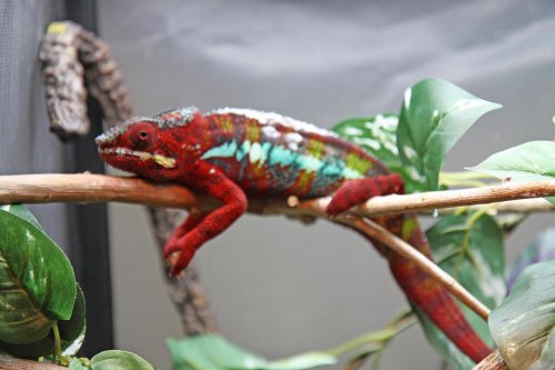 sick squee dec2013.jpg