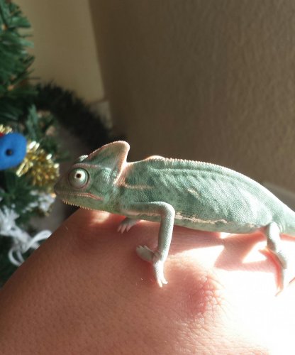 20131210_162502-1.jpg