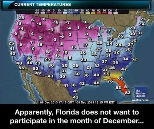 fla.jpg