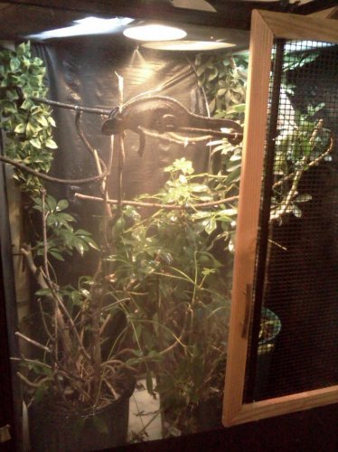 IMG318.jpg