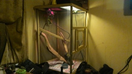 WHATEVERTHEHELL - WIN_20131215_201950.jpg