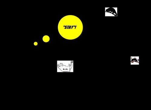 A Perfectly executed Stay Command in a roomful of chameleons.jpg