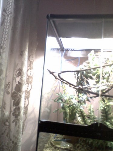IMG_20131221_152925.jpg