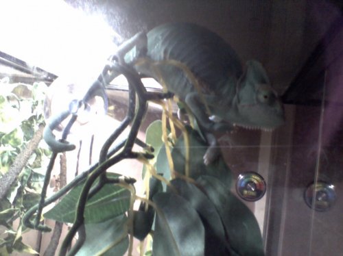 IMG_20131221_180533.jpg