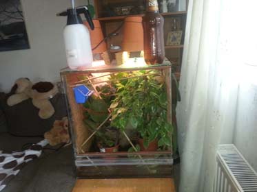 pic2.jpg