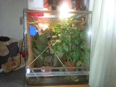 pic3.jpg