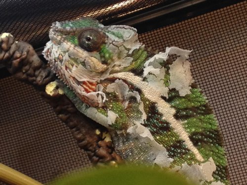 2013-11-27 14.26.39.jpg