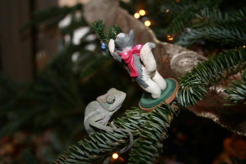 IMG_2587.jpg