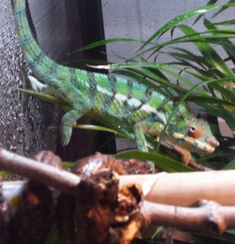 20131226_182701-1.jpg