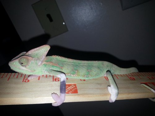 20131229_144302.jpg