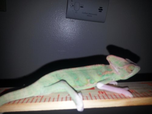 20131229_144254.jpg