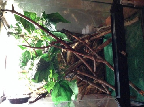 enclosure.jpg