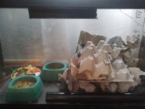 20131230_133457.jpg