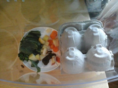20131230_133436.jpg