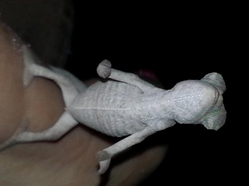 20131230_161011.jpg
