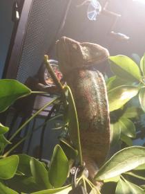 20131231_055024.jpg
